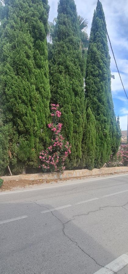 Coqueto Apartamento Μούρθια Εξωτερικό φωτογραφία